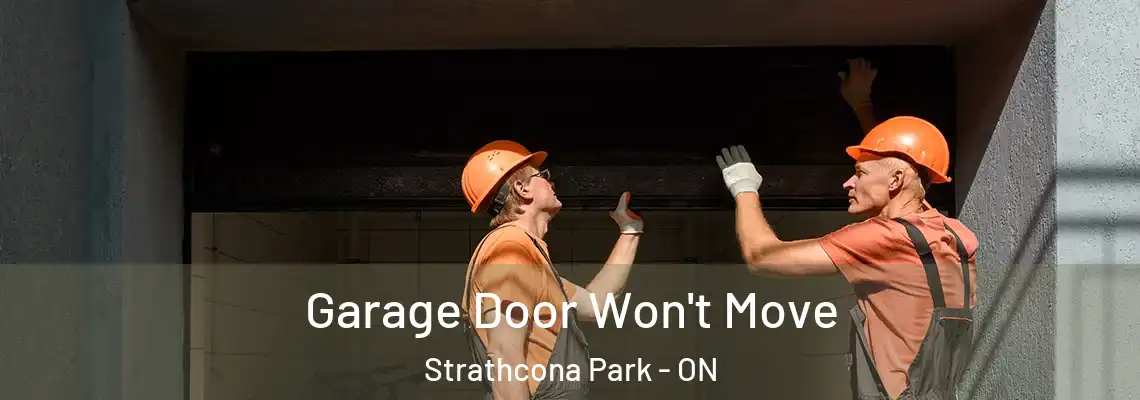 Garage Door Won't Move Strathcona Park - ON