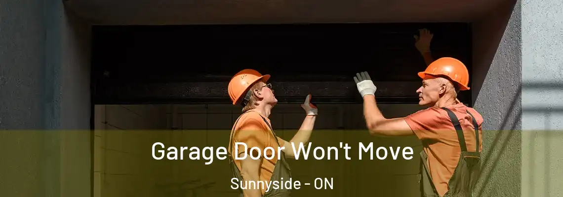 Garage Door Won't Move Sunnyside - ON