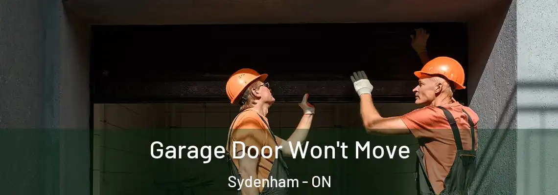  Garage Door Won't Move Sydenham - ON