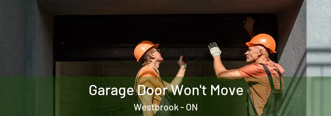  Garage Door Won't Move Westbrook - ON