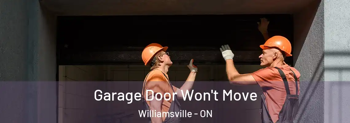 Garage Door Won't Move Williamsville - ON
