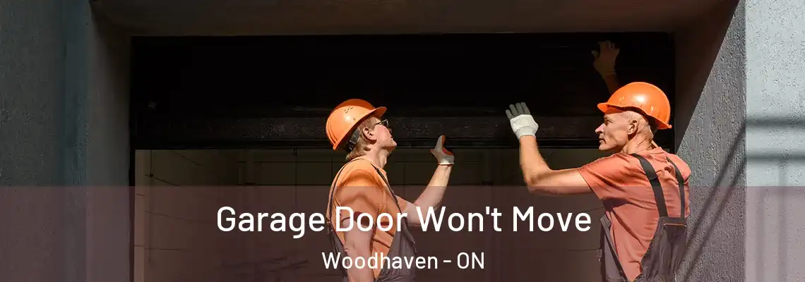  Garage Door Won't Move Woodhaven - ON