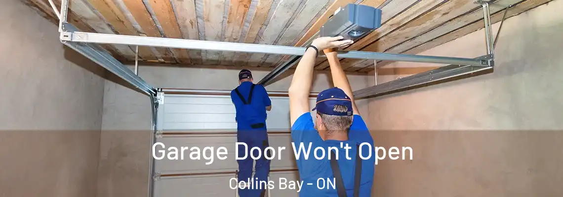 Garage Door Won't Open Collins Bay - ON