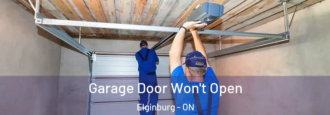  Garage Door Won't Open Elginburg - ON