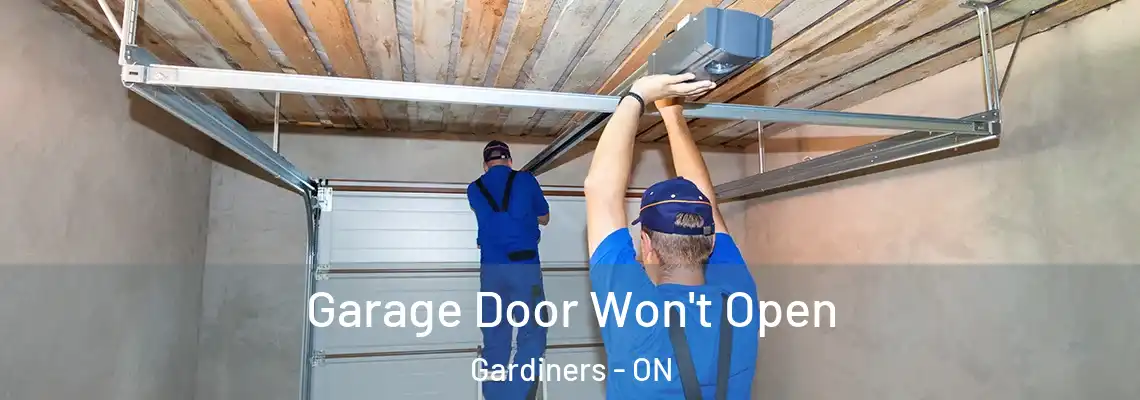 Garage Door Won't Open Gardiners - ON
