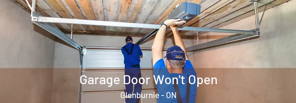 Garage Door Won't Open Glenburnie - ON