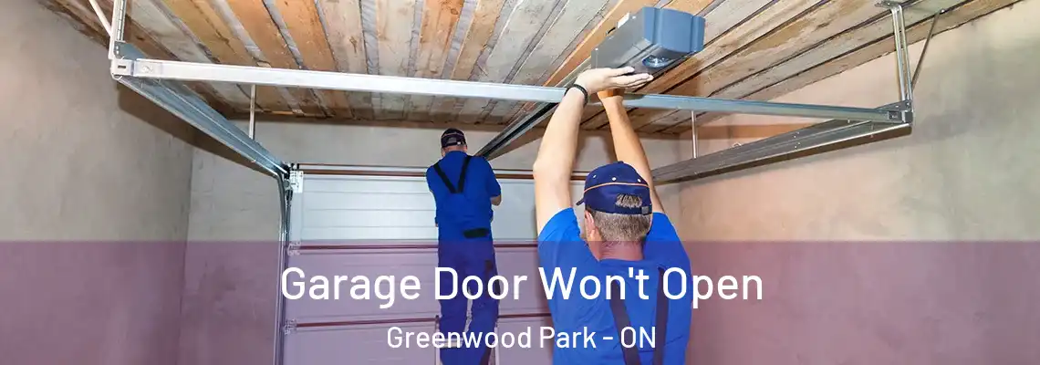  Garage Door Won't Open Greenwood Park - ON