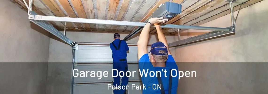 Garage Door Won't Open Polson Park - ON
