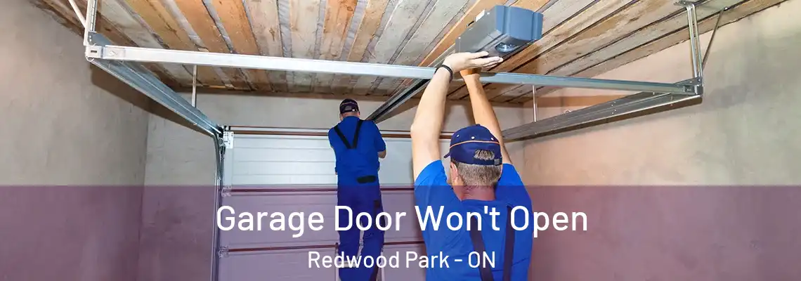 Garage Door Won't Open Redwood Park - ON