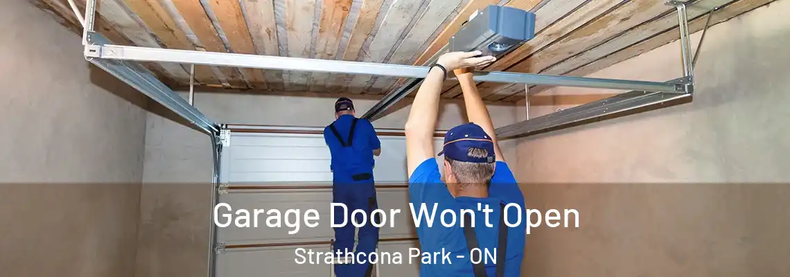 Garage Door Won't Open Strathcona Park - ON