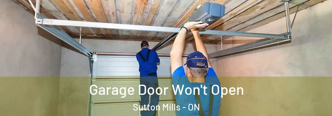  Garage Door Won't Open Sutton Mills - ON