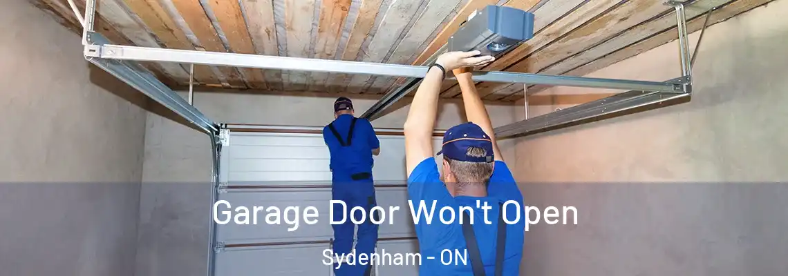  Garage Door Won't Open Sydenham - ON