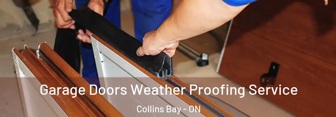 Garage Doors Weather Proofing Service Collins Bay - ON
