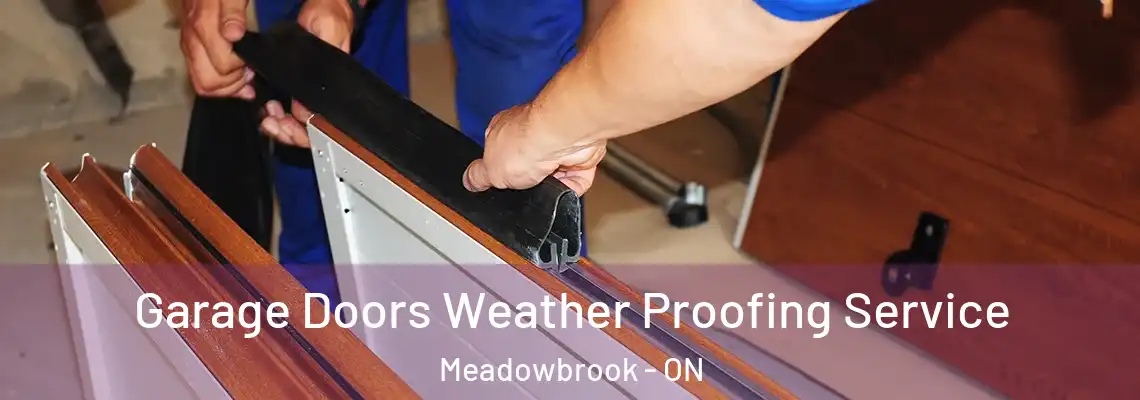  Garage Doors Weather Proofing Service Meadowbrook - ON