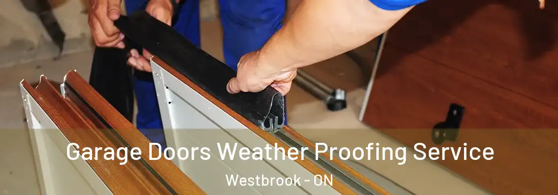 Garage Doors Weather Proofing Service Westbrook - ON