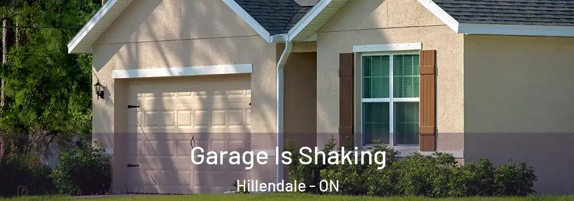 Garage Is Shaking Hillendale - ON