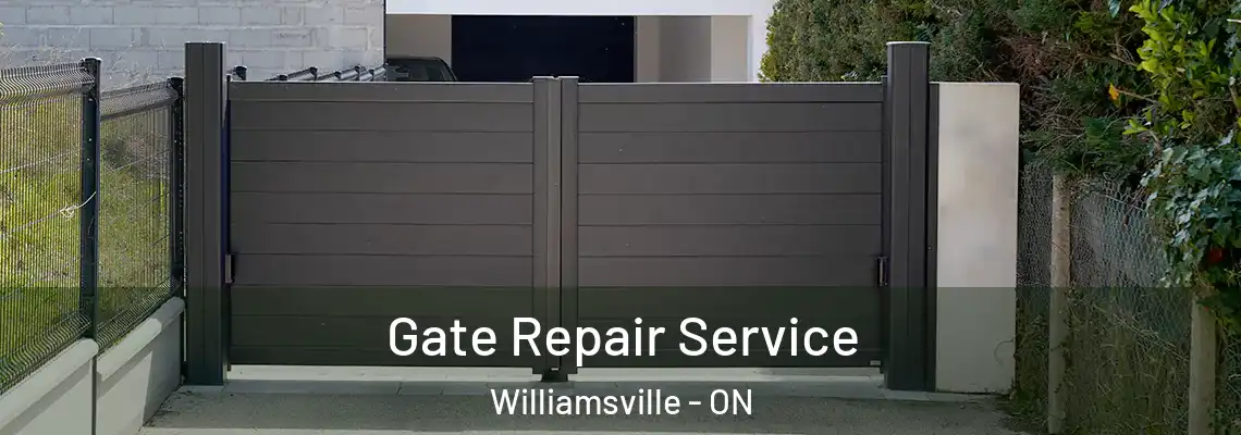 Gate Repair Service Williamsville - ON
