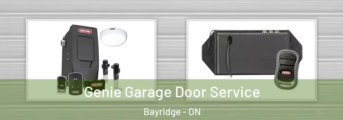  Genie Garage Door Service Bayridge - ON