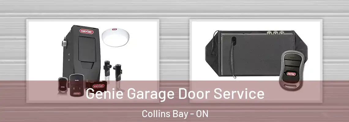 Genie Garage Door Service Collins Bay - ON
