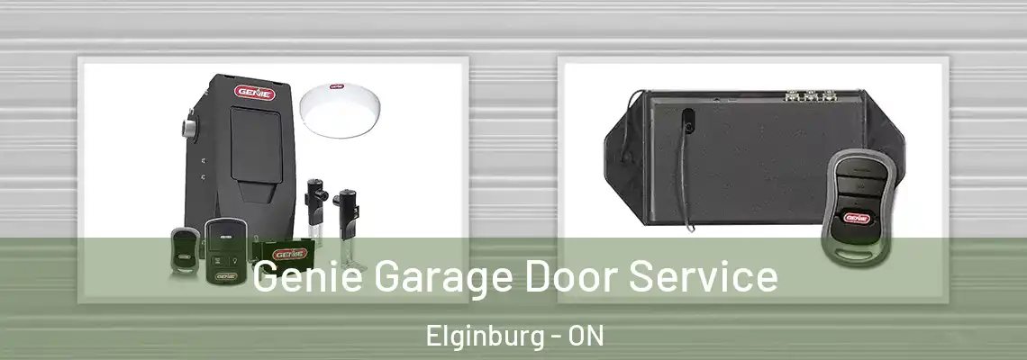 Genie Garage Door Service Elginburg - ON