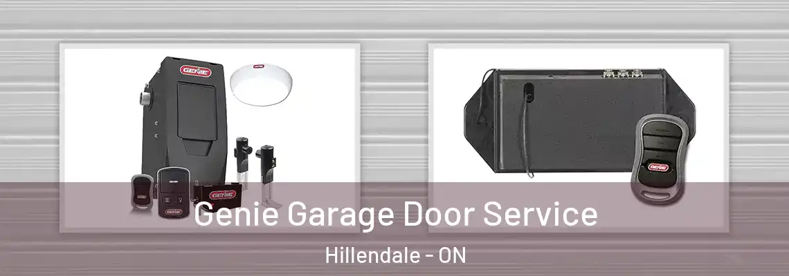 Genie Garage Door Service Hillendale - ON