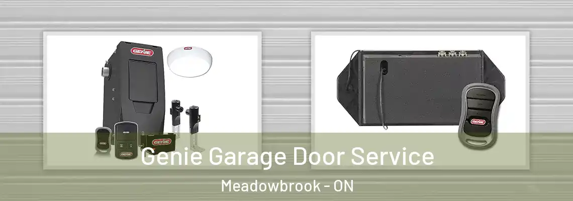 Genie Garage Door Service Meadowbrook - ON