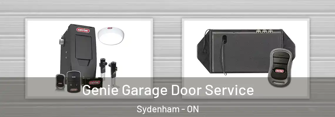  Genie Garage Door Service Sydenham - ON