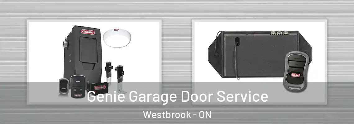  Genie Garage Door Service Westbrook - ON