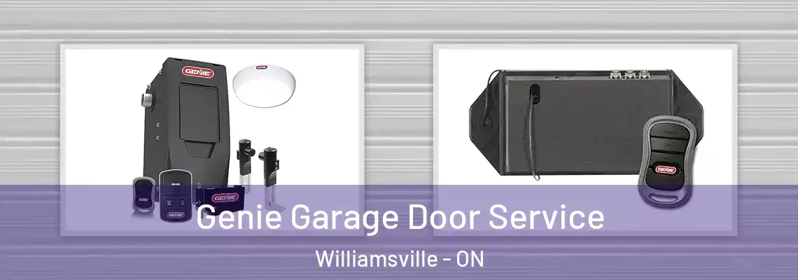  Genie Garage Door Service Williamsville - ON