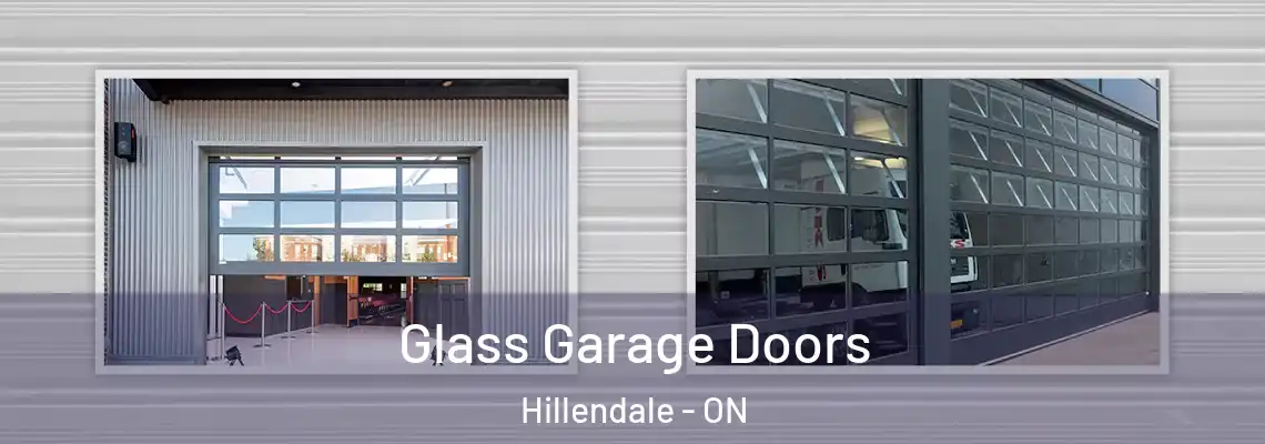  Glass Garage Doors Hillendale - ON