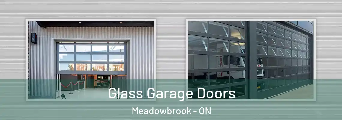 Glass Garage Doors Meadowbrook - ON