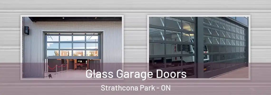 Glass Garage Doors Strathcona Park - ON