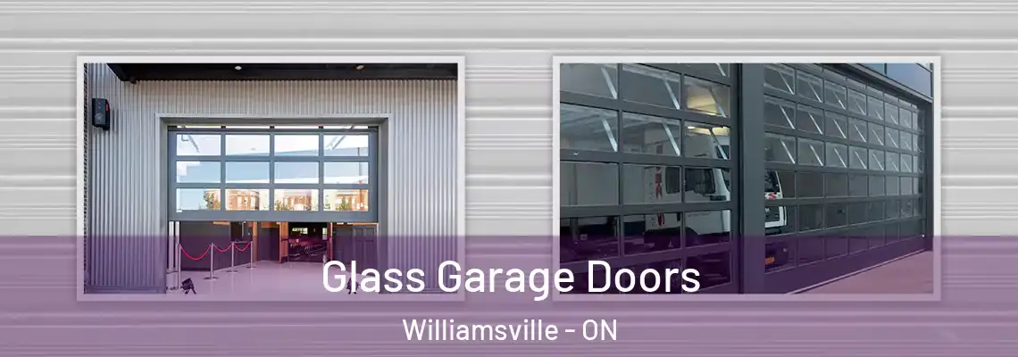 Glass Garage Doors Williamsville - ON