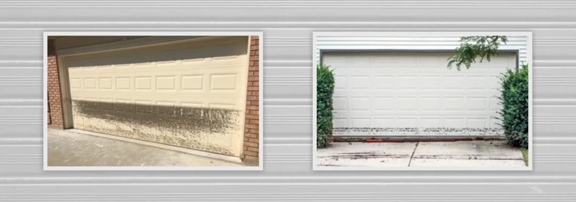 Garage Door Panel Water Damage Repair in Calvin Park, ON