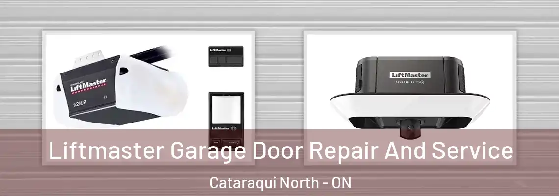  Liftmaster Garage Door Repair And Service Cataraqui North - ON