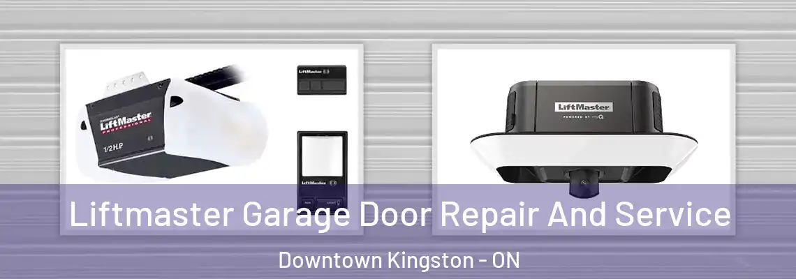 Liftmaster Garage Door Repair And Service Downtown Kingston - ON