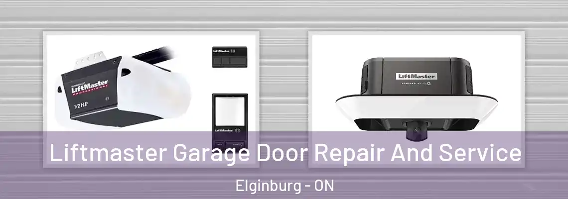 Liftmaster Garage Door Repair And Service Elginburg - ON