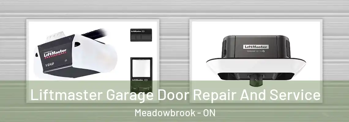  Liftmaster Garage Door Repair And Service Meadowbrook - ON