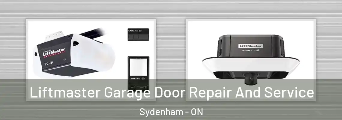 Liftmaster Garage Door Repair And Service Sydenham - ON