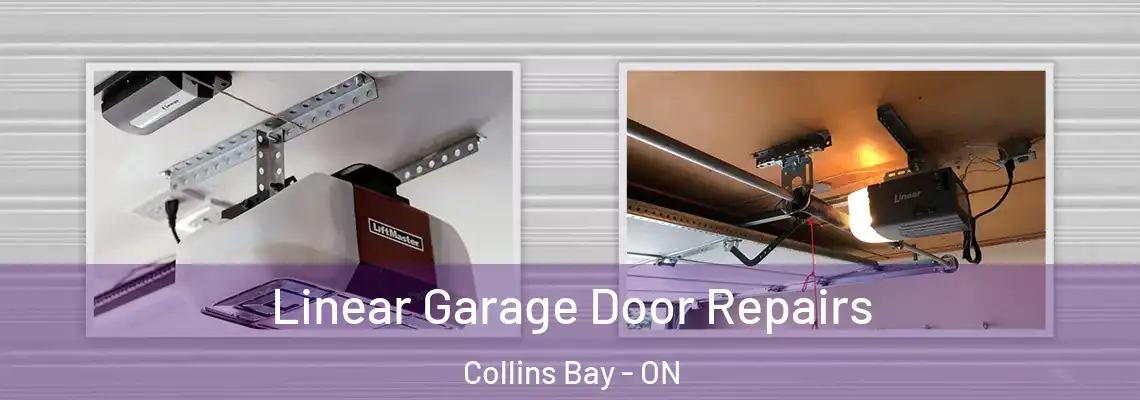  Linear Garage Door Repairs Collins Bay - ON