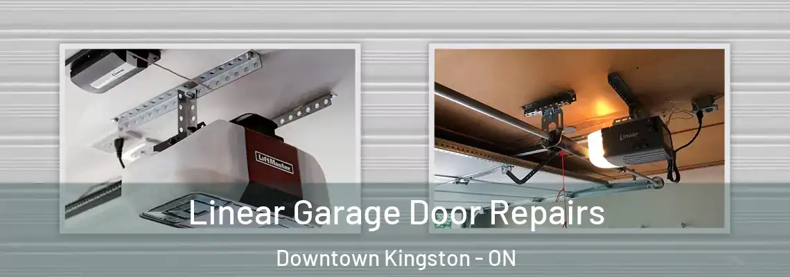 Linear Garage Door Repairs Downtown Kingston - ON
