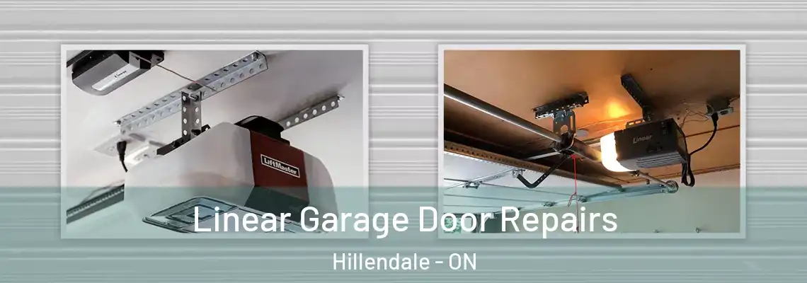  Linear Garage Door Repairs Hillendale - ON