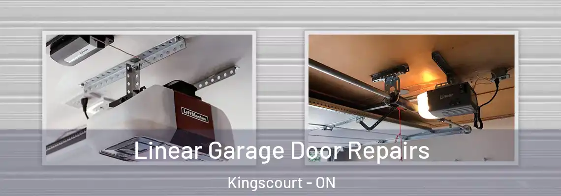 Linear Garage Door Repairs Kingscourt - ON
