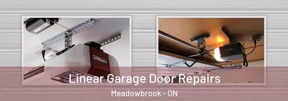  Linear Garage Door Repairs Meadowbrook - ON