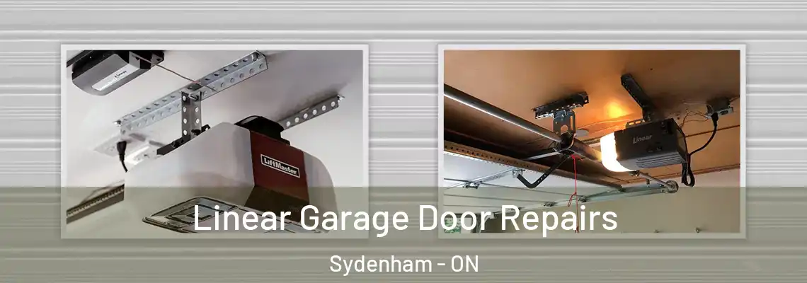 Linear Garage Door Repairs Sydenham - ON