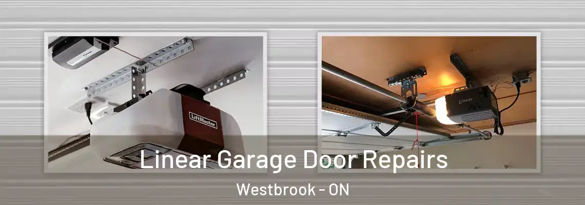 Linear Garage Door Repairs Westbrook - ON