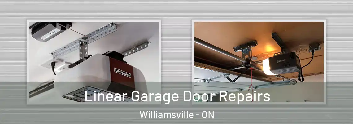 Linear Garage Door Repairs Williamsville - ON