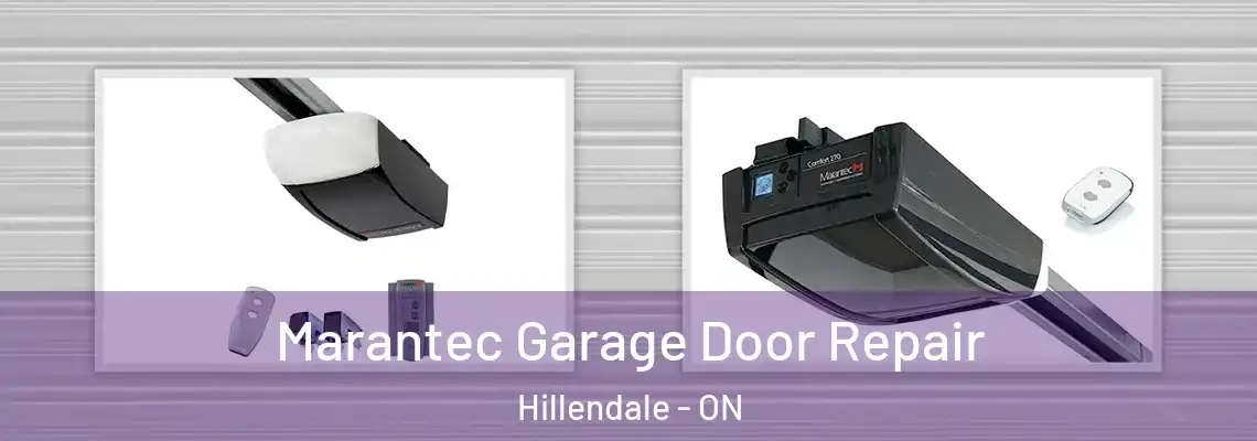 Marantec Garage Door Repair Hillendale - ON