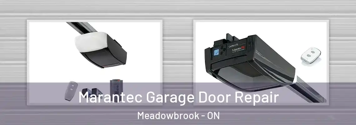 Marantec Garage Door Repair Meadowbrook - ON