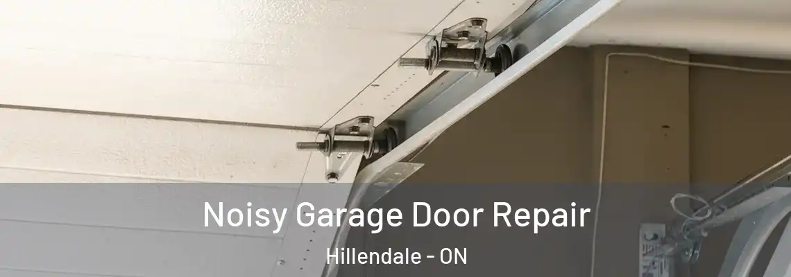 Noisy Garage Door Repair Hillendale - ON